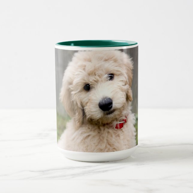 Goldendoodle Welpen im Gras Tasse (Zentrum)