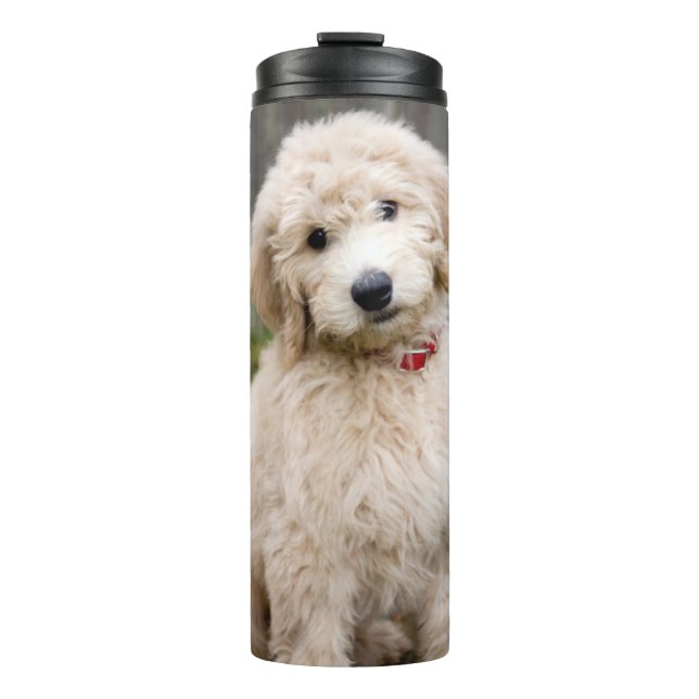 Goldendoodle Welpen im Gras Thermosbecher (Vorderseite)