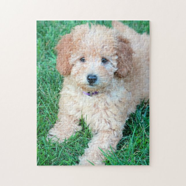 Goldendoodle Welpen-Puzzlespiel Puzzle (Vertikal)