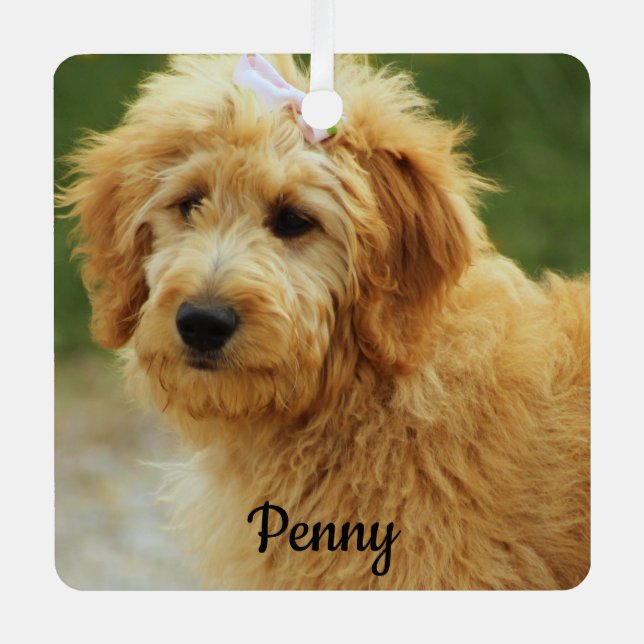 Goldendoodle Welpenhund Ornament Aus Metall (Vorderseite)