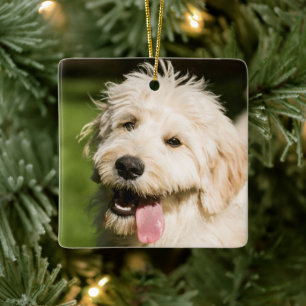 Goldendoodle Welpenpaneel Keramikornament