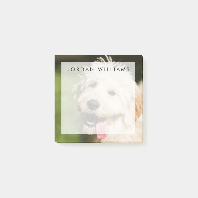 Goldendoodle Welpenpaneel Post-it Klebezettel (Vorderseite)