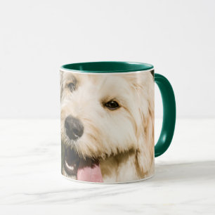 Goldendoodle Welpenpaneel Tasse