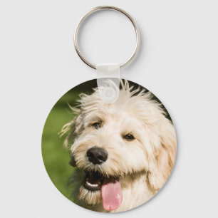 Goldendoodle Welpenpansche Schlüsselanhänger