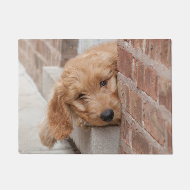 Goldendoodle-Welpenpfanne Fußmatte (Vorderseite)
