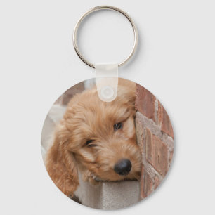 Goldendoodle-Welpenpfanne Schlüsselanhänger