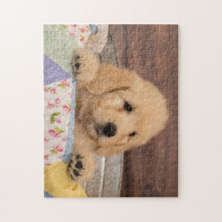 Goldendoodle Welpenpuzzlespiel Puzzle