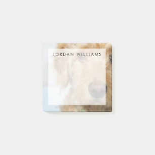 Goldendoodle-Welpenschau Post-it Klebezettel