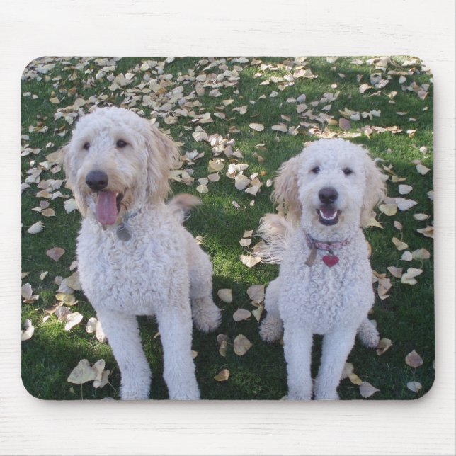 GoldenDoodles im Herbstlaub Mousepad (Vorne)