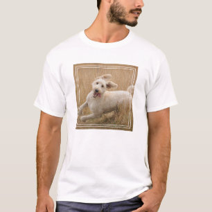 Goldendoodrom läuft durch Gras T-Shirt