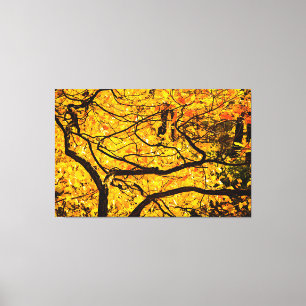 Goldene Adern des Herbstes Leinwanddruck