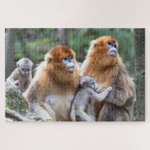 Goldene Affenfamilie Puzzle