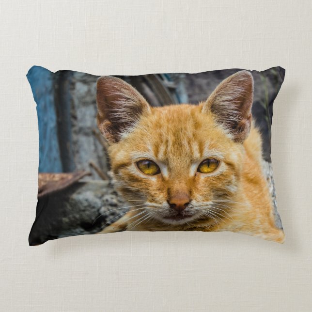 Goldene Augen Dekokissen (Vorderseite)