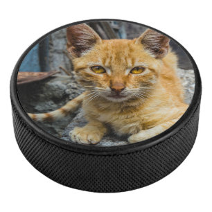 Goldene Augen Eishockey Puck