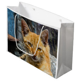 Goldene Augen Große Geschenktüte