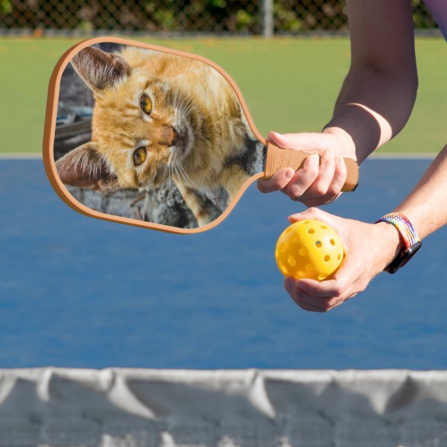 Goldene Augen Pickleball Schläger (InSitu)