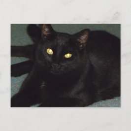 Goldene Augen Postkarte