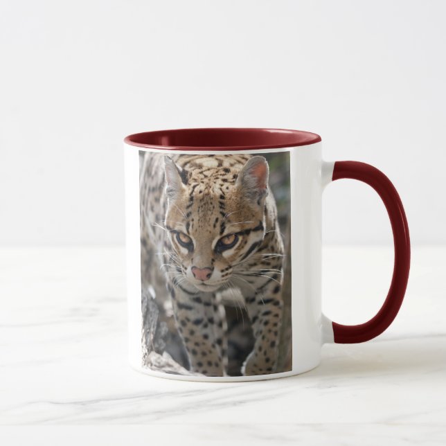 Goldene Augen Tasse (Rechts)