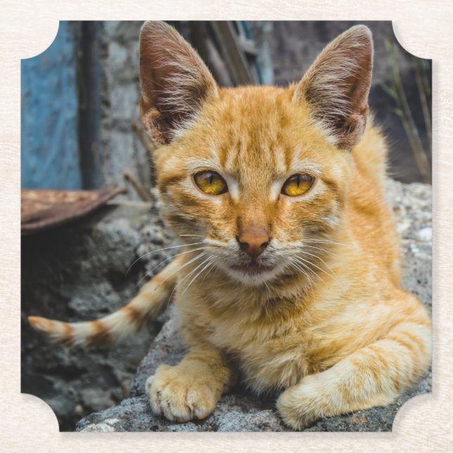 Goldene Augen Untersetzer (Vorderseite)