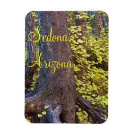 Goldene Blätter auf dem Westfalen Magnet