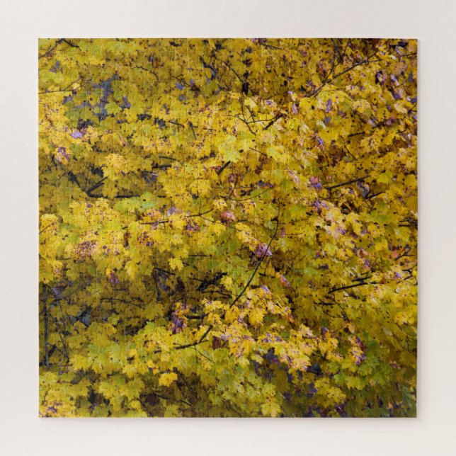 Goldene Blätter des Herbstes - 20 x 20 Zoll Puzzle (Vertikal)