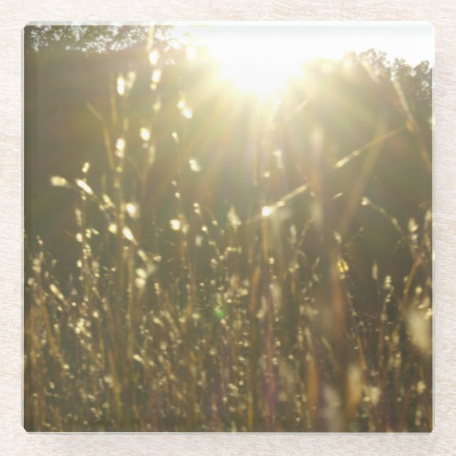 "Goldene Blätter des Sonnenlichts" ursprüngliche Glasuntersetzer (Vorderseite)