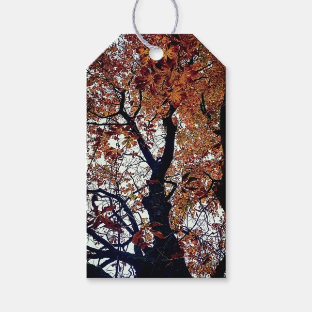 Goldene Blätter Geschenkanhänger (Vorderseite)