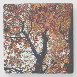 Goldene Blätter Steinuntersetzer