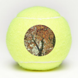 Goldene Blätter Tennisbälle