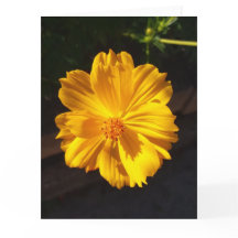 Goldene Blume Makrofotografie