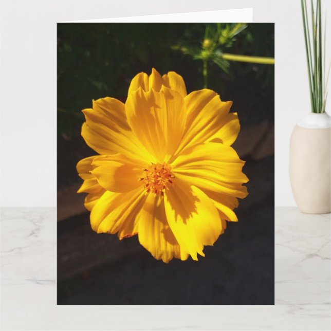 Goldene Blume Makrofotografie Karte (Vorderseite)