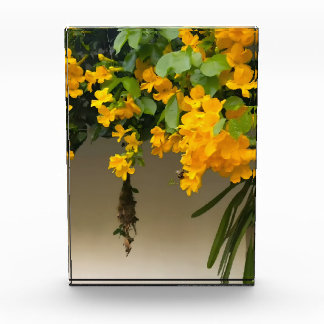 Goldene Blüten-Schönheit Fotoblock