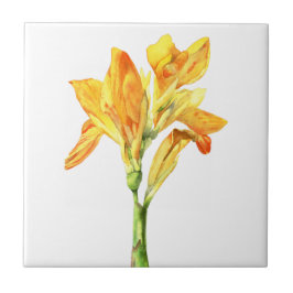 Goldene Canna Blumewatercolor-Malerei Fliese