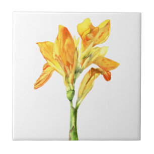 Goldene Canna Blumewatercolor-Malerei Fliese