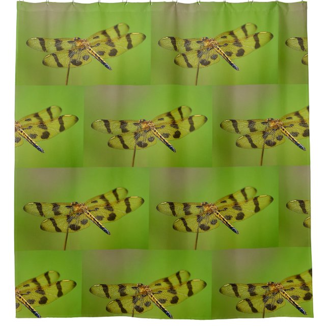 Goldene Dragonfly Duschvorhang (Vorderseite)
