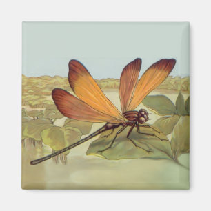 Goldene Dragonfly Magnet