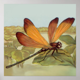 Goldene Dragonfly Poster