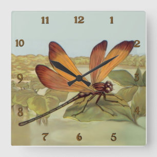Goldene Dragonfly Quadratische Wanduhr