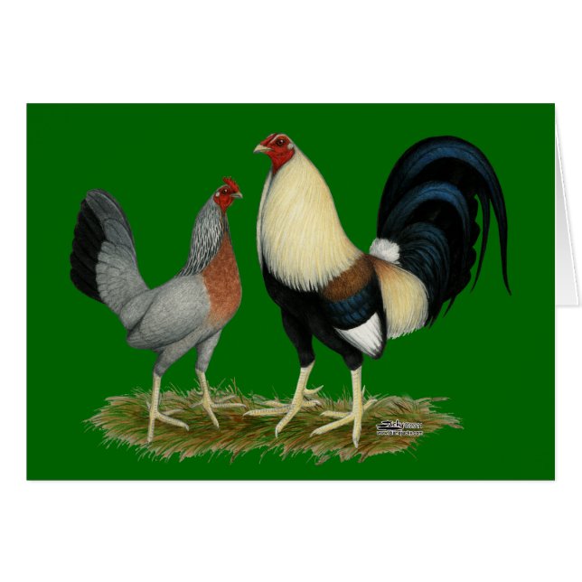 Goldene Duckwing Hühner (Vorderseite (Horizontal))