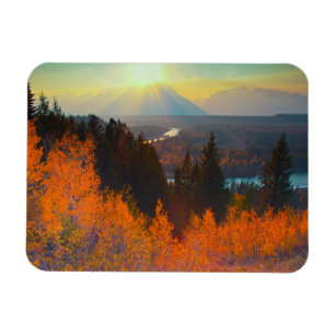 Goldene Espen oberhalb des Snake River bei Sonnenu Magnet