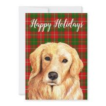 Goldene Farbe Maßgeschneiderte Retriever