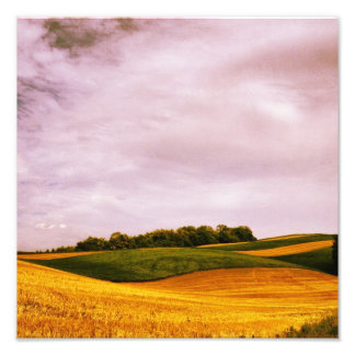 Goldene Farmland Fotodruck