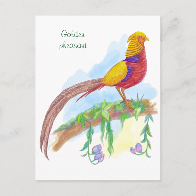 Goldene Fasan Feiertagspostkarte (Vorderseite)