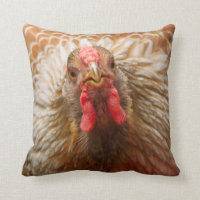 Goldene Federn - Wynadotte Huhn-Henne