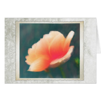 Goldene Feier Rose