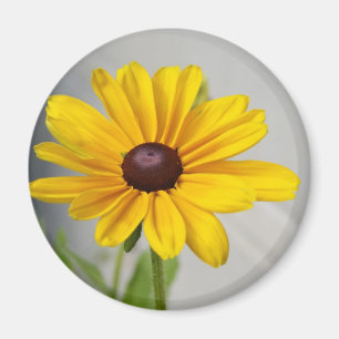 Goldene gelbe Blume Magnet