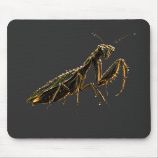 Goldene Gottesanbeterin Schwarz & Gold Mousepad