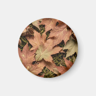 Goldene Herbst-Ahornblätter Moos Herbstlaub  Magnet