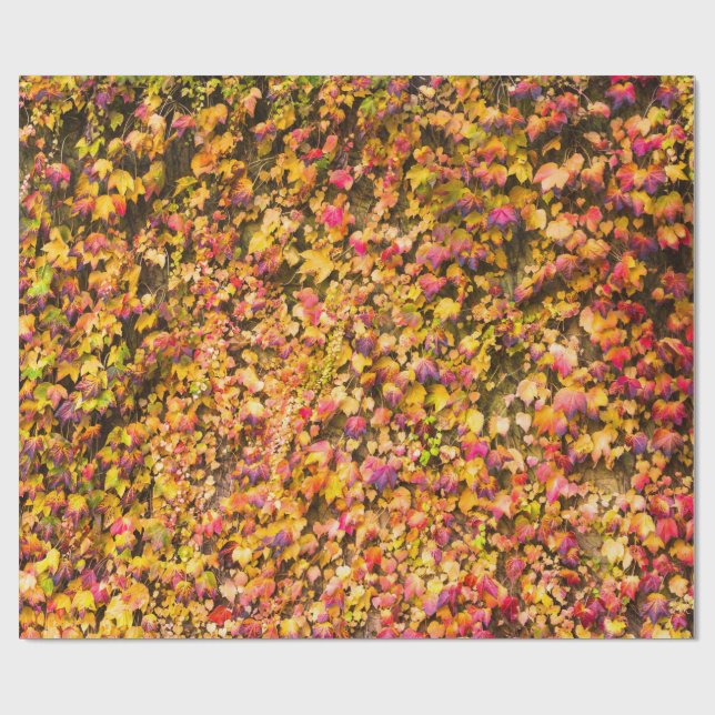 Goldene Herbstfarben Efeu Wand Geschenkpapier (Flach)