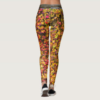 Goldene Herbstfarben Efeu Wand Leggings